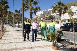 El alcalde supervisa la colocación de nuevas plantas