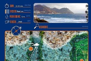Ejemplo de ficha que va en la guía