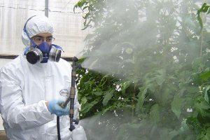Un técnico muestra cómo aplicar fitosanitarios.