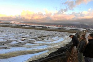 Efectos devastadores de lagranizada en El Ejido