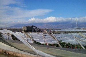 Los agricultores ya han comenzado a reparar las estructuras.