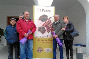 Recogida de las parras en Terque