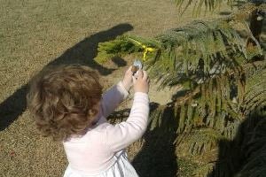 Una pequeña depositando su chupe en El Arbol de los Chupetes de Almería
