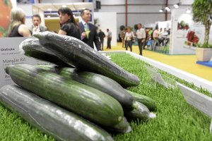 El pepino es el tercer producto en volumen