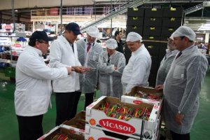 Miembros del Colegio de Economistas visitaron Vicasol recientemente.