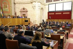 Pleno del Parlamento andaluz.