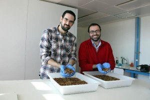 Alejandro Torres y Juan Antonio Cortés de Entomotech.