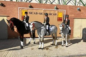 María del Mar con Nibelungo, Laura con Trizago y Rocío con Quater.