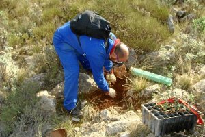 Un operario en las tareas de reposición de amarres.