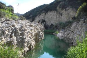 El manantial que se está secando.