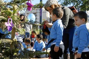 Pequeños colgando chupetes en el árbol