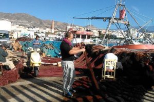 Pescadores  en el puerto de Adra repasan las redes antes de salir a faenar.