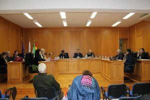 Última sesión plenaria celebrada el pasado jueves