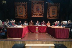 Sesión plenaria celebrada en el salón de actos del Ayuntamiento de Albox
