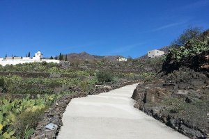 Camino rural de El Saltador