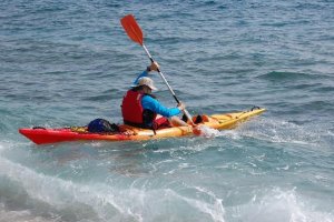 Parque natural en estado puro sobre las olas.
