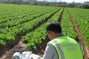 Un agente con junto a garrafas abandonadas en una finca.