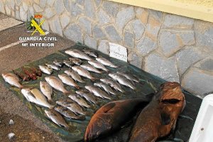 Piezas capturadas por los furtivos en la zona de Los Escullos.