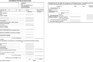 Nuevo modelo de nómina.