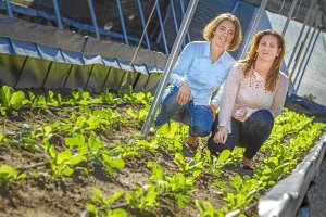 Las emprendedoras Esther Fructuoso y María Dolores Lázaro posan en su pequeña parcela en la que dent