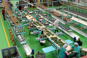 Mabe ha mostrado su disposición a insertar a mujeres en riesgo de exclusión.