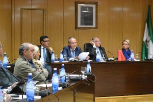 Momento en el que el secretario leía el informe jurídico.