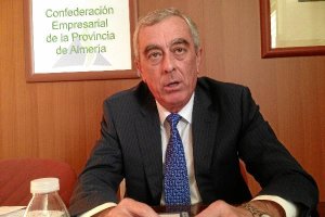 El presidente de la Asociación de Empresarios de Almería (Asempal) durante la entrevista realizada e