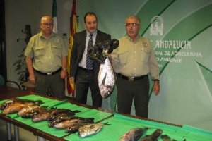 Los dos agentes de medio ambiente y el delegado.