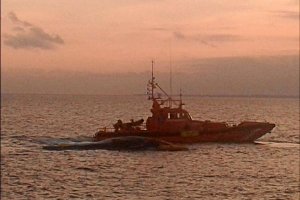 La ballena, en alta mar