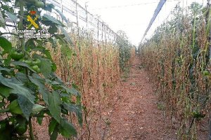 Invernadero destrozado