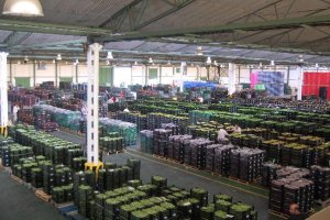 Nave de subasta de Agroponiente.