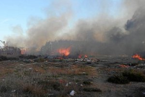 Zona de cañaveral ardiendo, a las afueras de Almería.