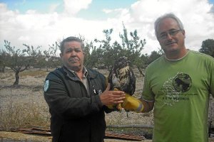 Agentes de Medio Ambiente con el águila que iba a ser liberada.