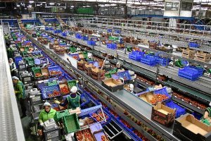 La agricultura se sigue mostrando fuerte