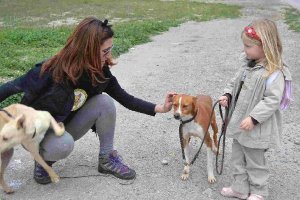 Paseos con los perros de la protectora, los sábados.