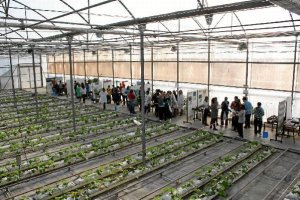 Luz, calefacción o riegos tiran de la factura eléctrica