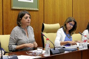 La consejera, en el Parlamento.