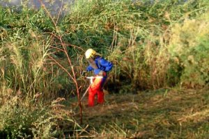 Un operario eliminando vegetación con una motodesbrozadora del cauce del río.