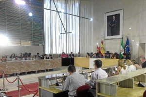 Pleno de esta mañana