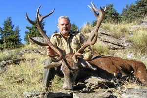 Uno de los animales abatidos en los Filabres