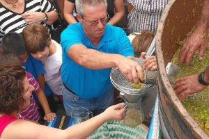 Recogida del zumo de las primeras uvas pisadas en Alboloduy este año, el codiciado mosto.