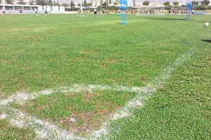 Aspecto del campo Anexo este lunes.