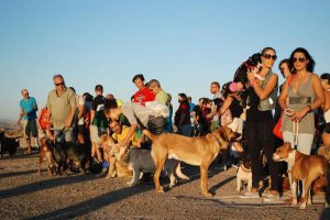 La convocatoria reunió a cerca de 200 personas. 