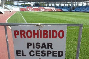 Así ha amanecido este sábado el campo.