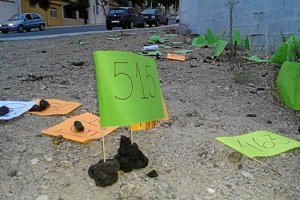 Kilos y kilos de excrementos