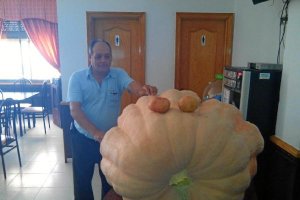Una calabaza de 280 kilos en Tíjola 