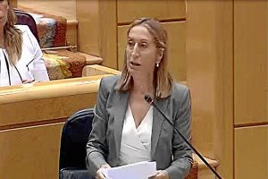 La ministra de Fomento, Ana Pastor, ayer durante su intervención en el Senado