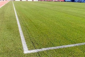 El campo está espectacular.