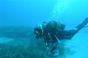 El monumento natural de Posidonia formará parte de la exposición.