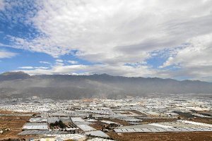 Almería ha basado su desarrollo en la agricultura intensiva invernada con 28.000 hectáreas.